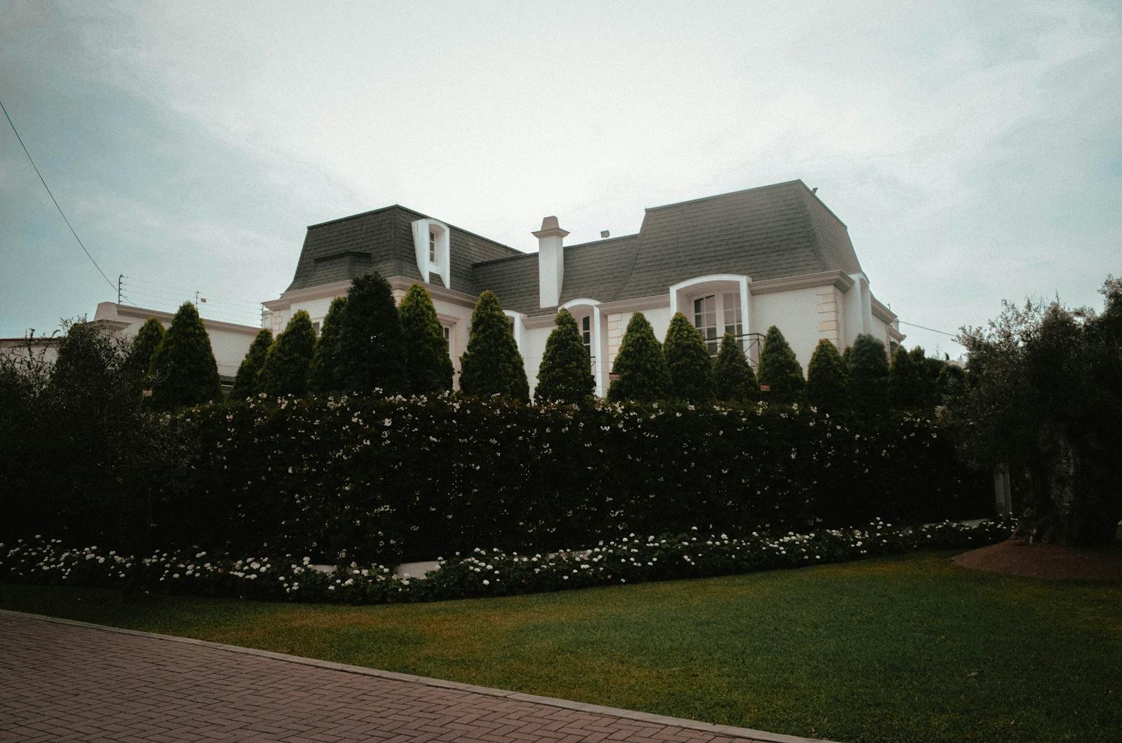 Residencia tipo mansion en San Isidro con jardin frondoso, microzona Orrantia del Mar y embajadas