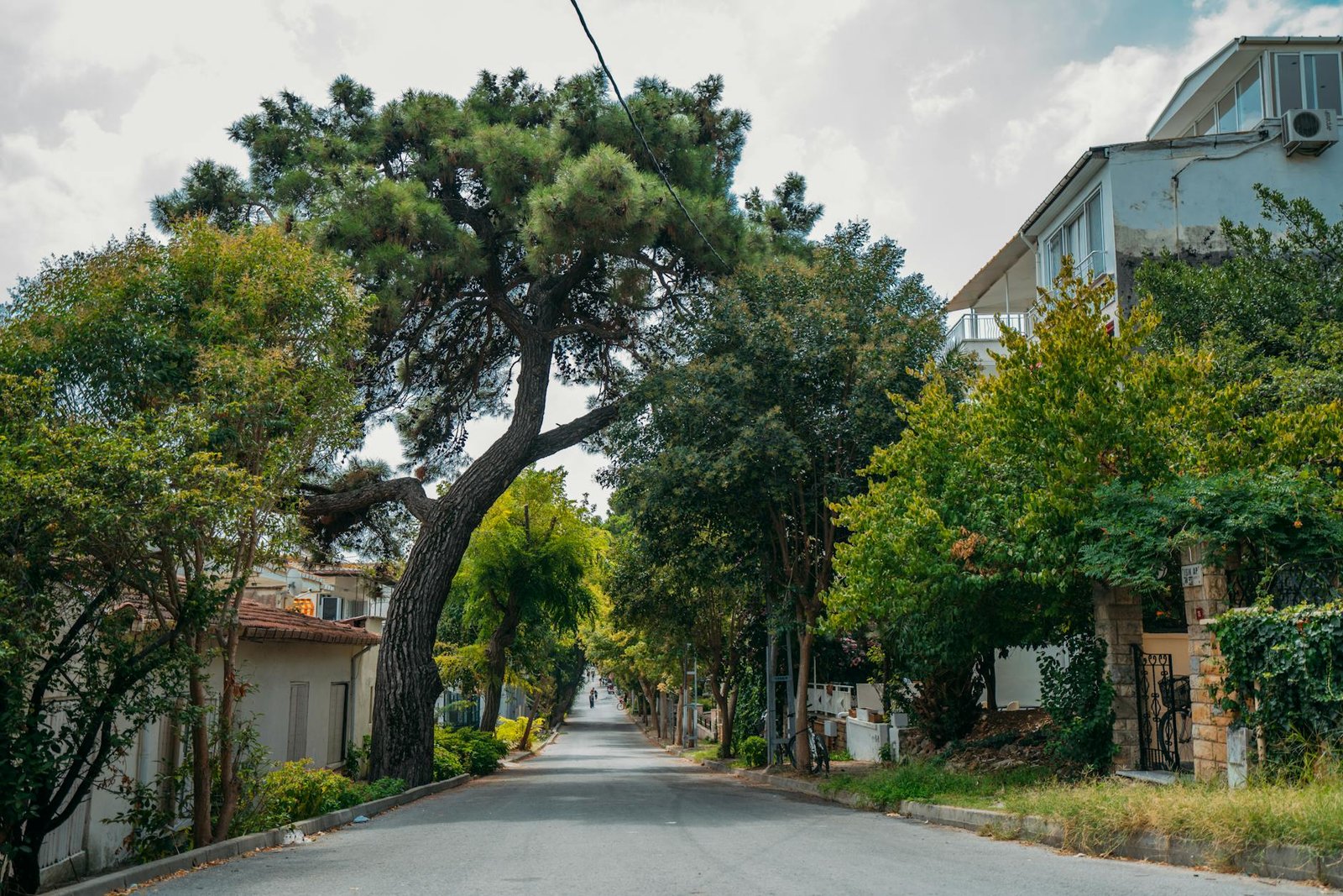 Calle residencial arbolada en Corpac, San Isidro - Penthouse.pe